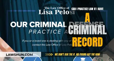 Criminal Record and a Law Career: Is It Possible?