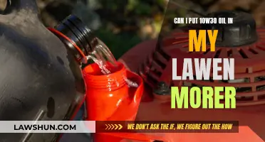 Using 10W30 Oil in Lawnmowers: Is It Safe?
