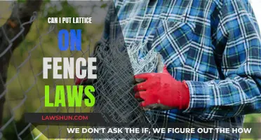 Lattice Fence Laws: What You Need to Know