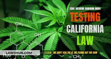 Drug Testing in California: What Employers Need to Know