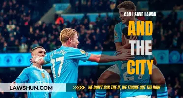 How to Save Lawan and the City