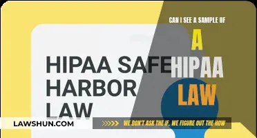 HIPAA Law: Sample and Key Takeaways