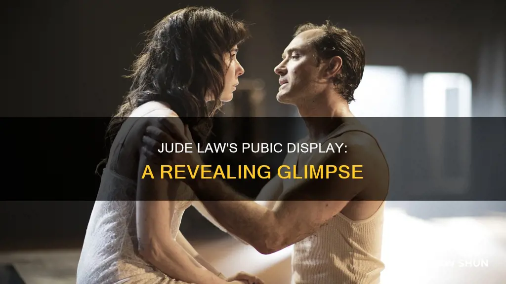 can i see jude law pubes