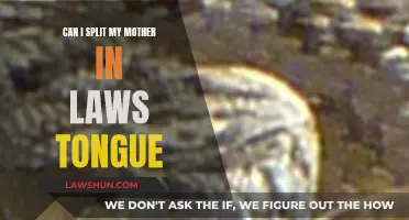 How to Divide Your Mother-in-Law's Tongue