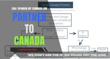 Sponsoring Your Common-Law Partner to Canada: What You Need to Know