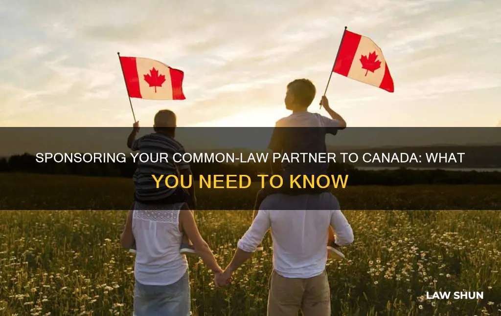 can i sponsor my common law partner to canada