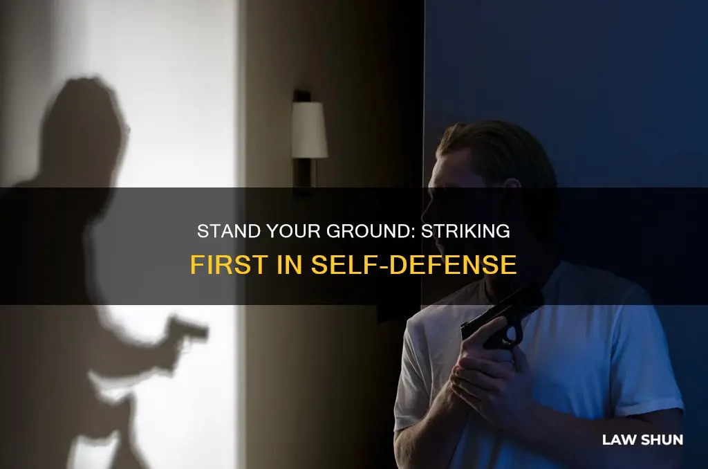 can i strike first my attacker law usa