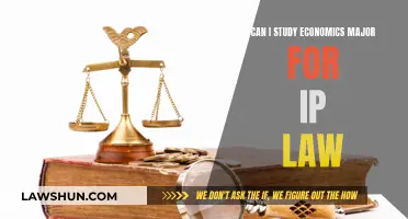 How Economics Majors Can Pursue IP Law