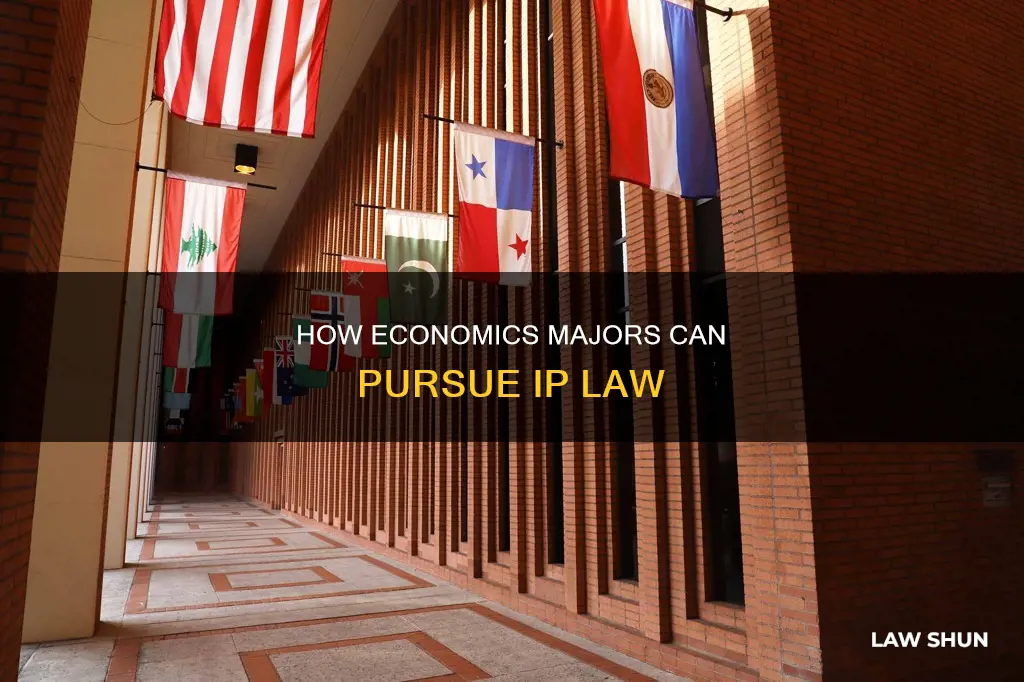 can i study economics major for ip law