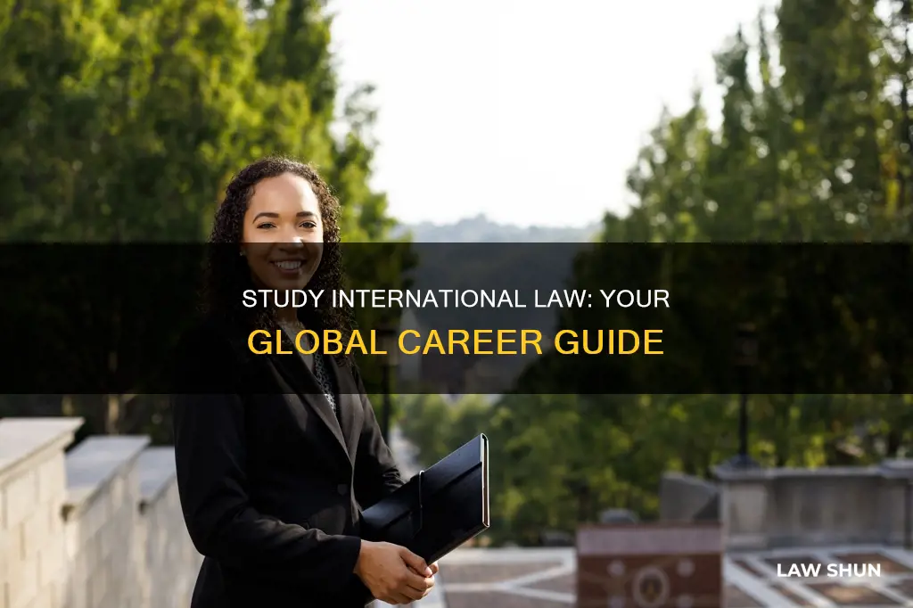 can i study international law