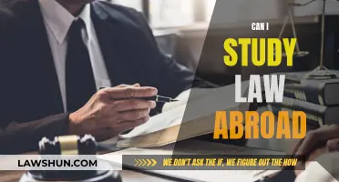 Study Law Abroad: Is It Possible?