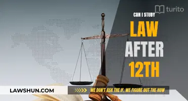 Study Law: What Are Your Options After Grade 12?