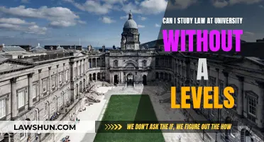 Law School Without A-Levels: Is It Possible?