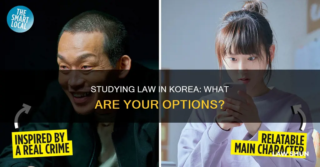 can i study law in korea