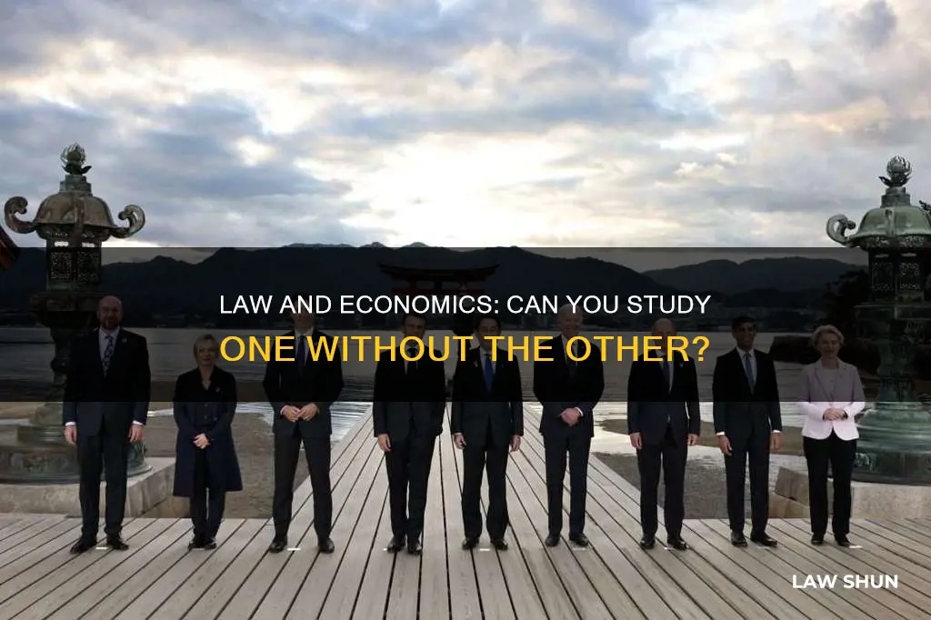 can i study law without economics