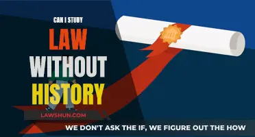 Law Without History: Is It Possible?