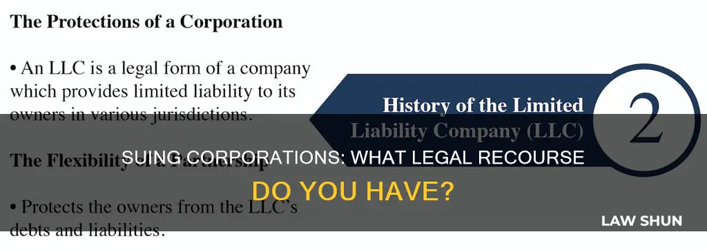 can i sue a corporation for breaking the law