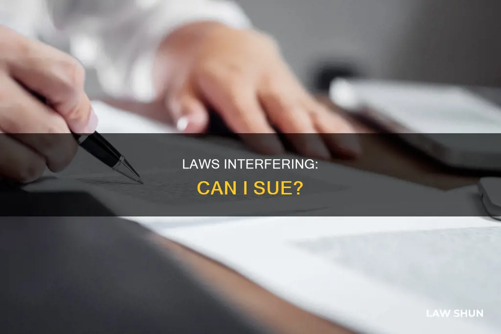 can i sue laws for interferrimg
