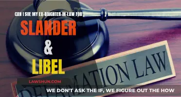 Suing an Ex-Daughter-in-Law for Slander and Libel