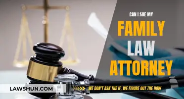 Suing Your Family Law Attorney: When and Why?