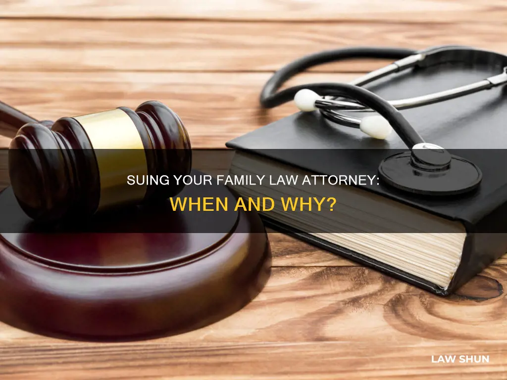 can i sue my family law attorney