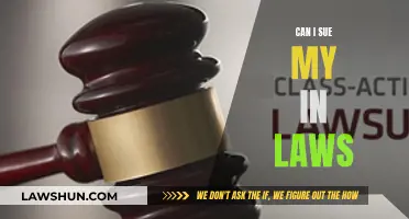 Suing In-Laws: Is It Possible?