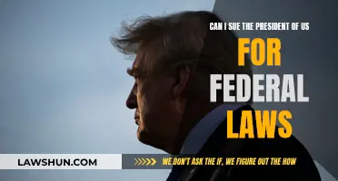 Suing the US President: Can Federal Laws Apply?