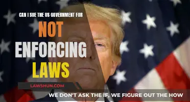 Suing the US Government: Enforcing Laws and Citizen Rights
