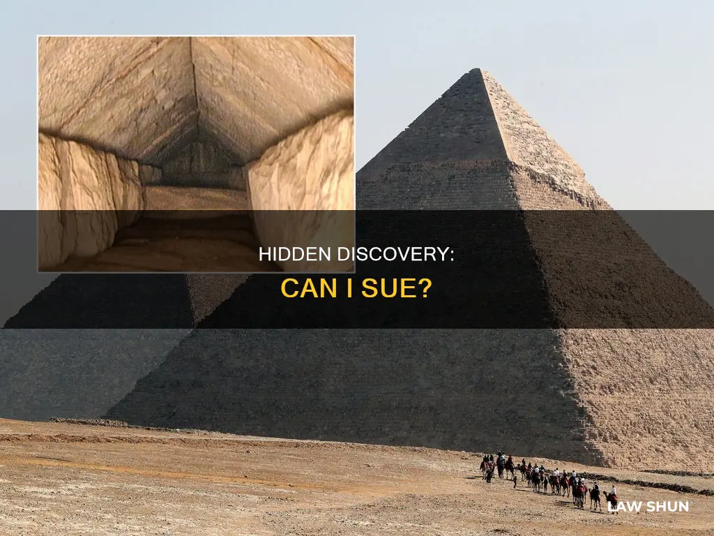 can i sue under the law if hidden discovery