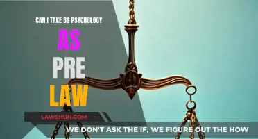 Psychology as Pre-Law: A Smart Choice?