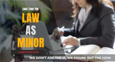 Exploring Pre-Law: Should You Minor in It?