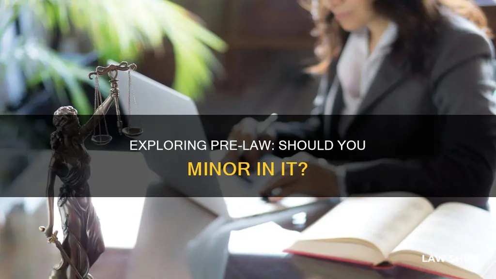 can i take pre law as minor