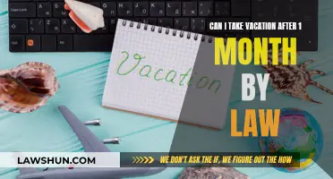 Vacation Entitlement: Your Rights After One Month