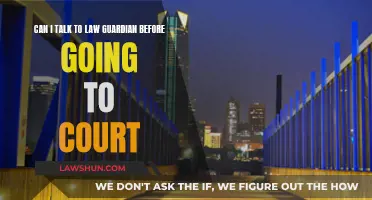 Talking to a Law Guardian Before Court: What to Know
