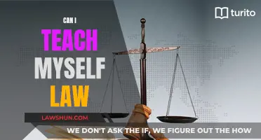 Teaching Yourself Law: Is It Possible?