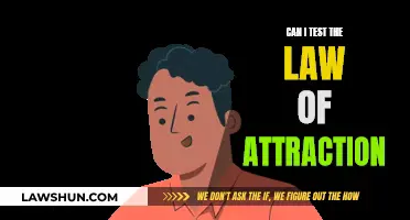 Testing the Law of Attraction: Does It Work?