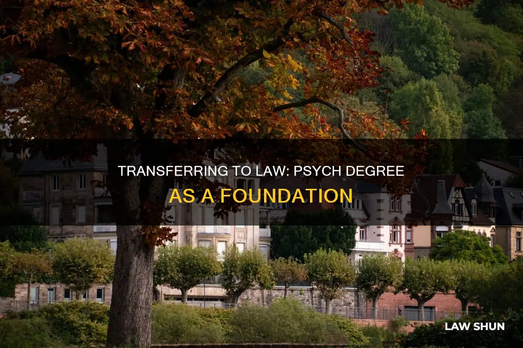 can i transfer to law with a psych degree