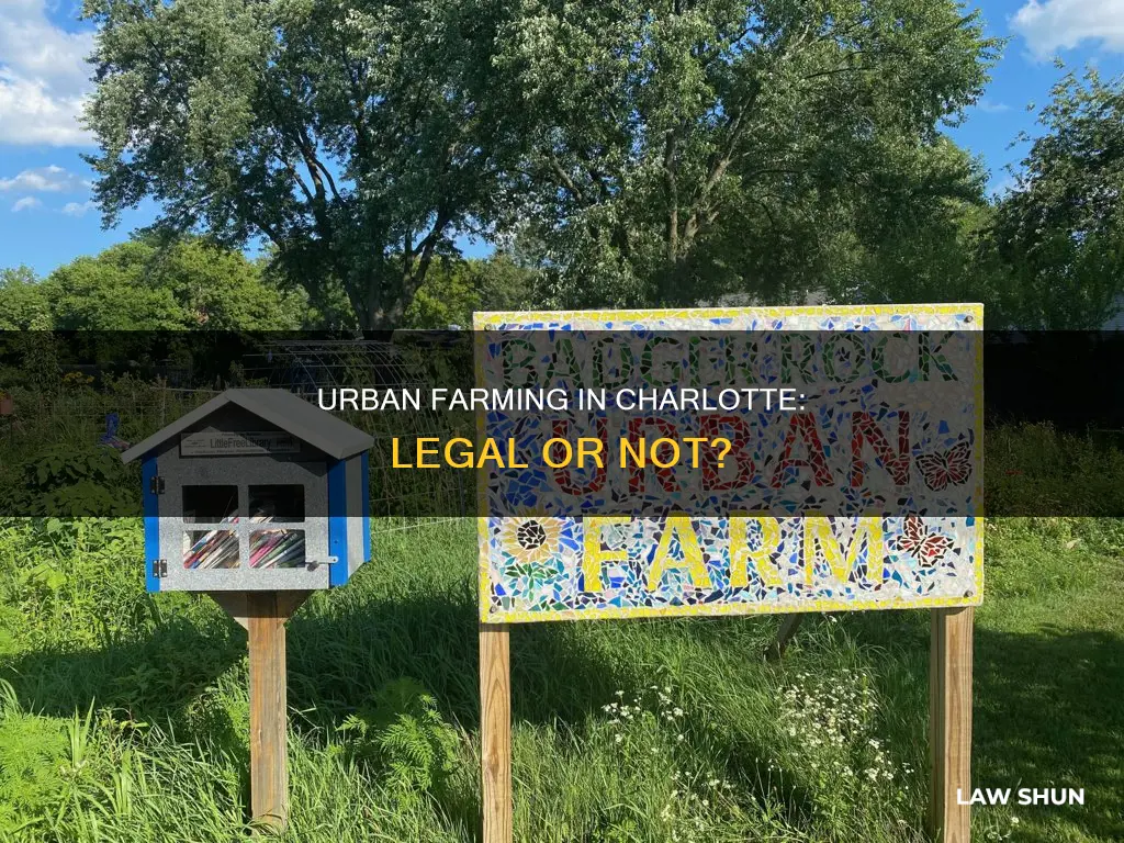 can i urban farm in charlotte laws