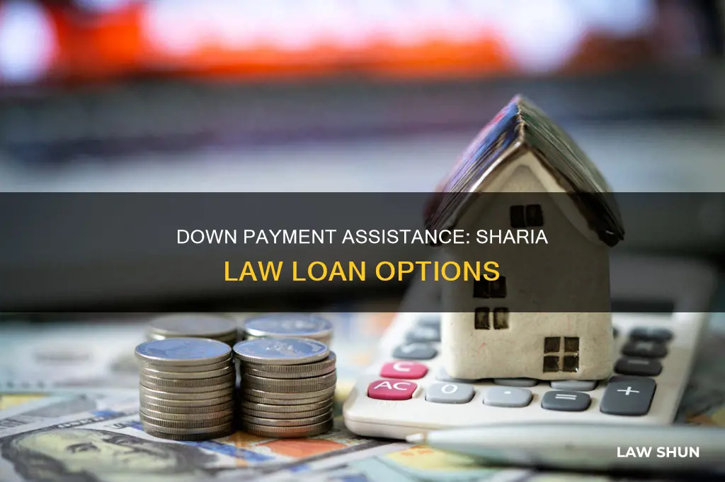 can i use downpayment assistance with a sharia law loan