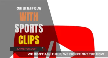 Fair Use Law: Can You Use Sports Clips?