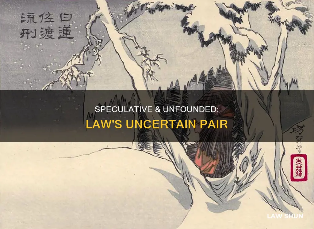 can i use speculative and unfounded together in law