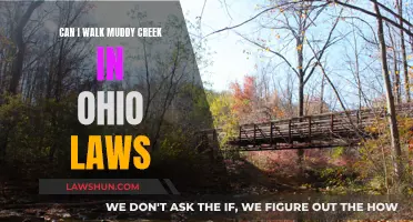Muddy Creek, Ohio: Walking Laws and Regulations