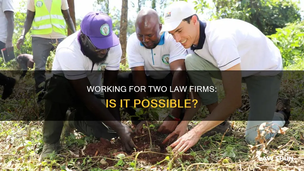 can i work for two law firms