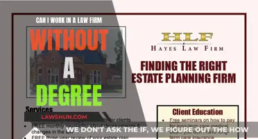Law Firm Careers: Degrees Optional?