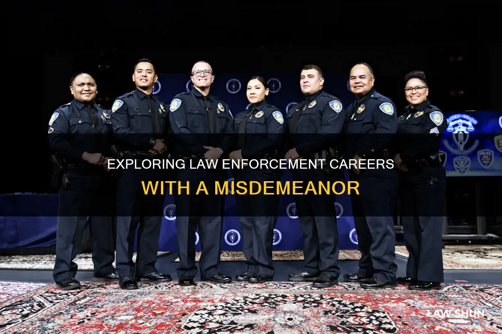 can i work in law enforcement with a misdemeanor