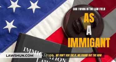 Immigrants in Law: Career Opportunities and Challenges