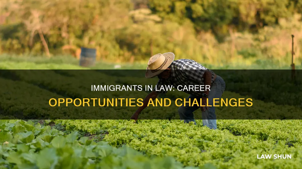 can i work in the law field as a immigant