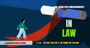 Working in Law: Undergraduate Options