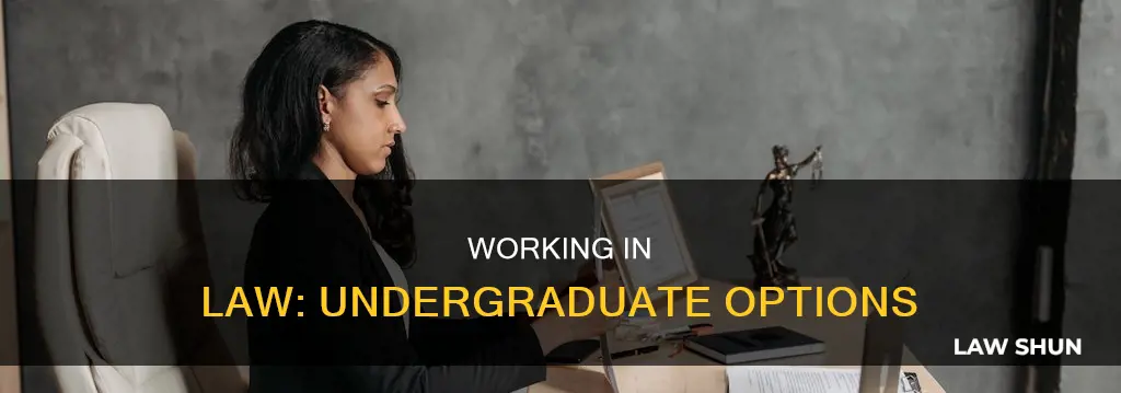 can i work with underagradaute degree in law