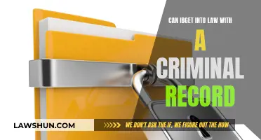 Criminal Record and Law School: Can You Get In?